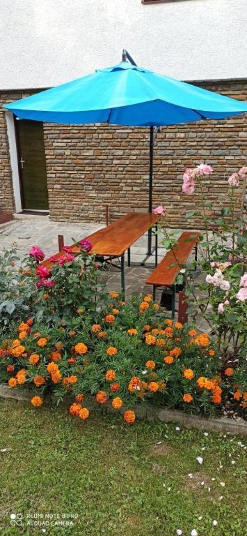 Privat L&L Apartman Nová Lesná Kültér fotó